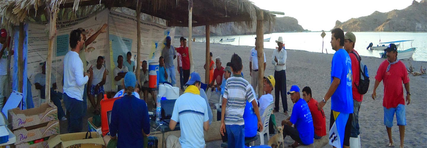 Shin Kobara and a field research team reviewing data together on the coast